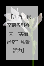 江西：夏至荷香引客来 “美丽经济”添新活力