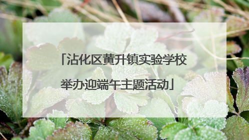 沾化区黄升镇实验学校举办迎端午主题活动
