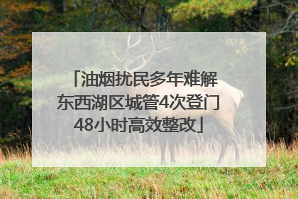 油烟扰民多年难解 东西湖区城管4次登门48小时高效整改