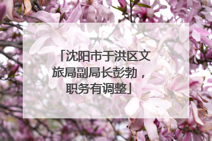 沈阳市于洪区文旅局副局长彭勃，职务有调整
