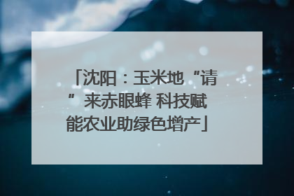 沈阳：玉米地“请”来赤眼蜂 科技赋能农业助绿色增产