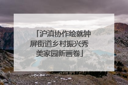 沪滇协作绘就钟屏街道乡村振兴秀美家园新画卷