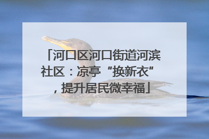 河口区河口街道河滨社区：凉亭“换新衣”，提升居民微幸福