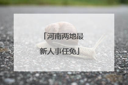 河南两地最新人事任免