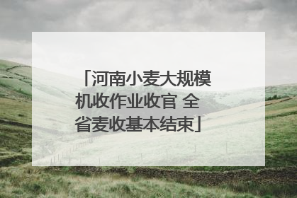 河南小麦大规模机收作业收官 全省麦收基本结束
