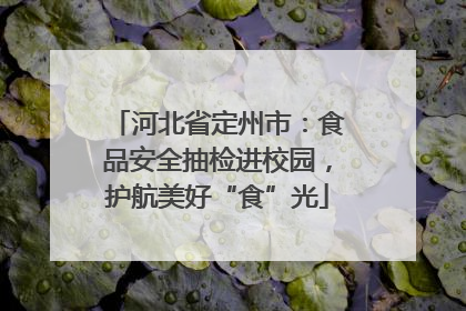 河北省定州市：食品安全抽检进校园，护航美好“食”光