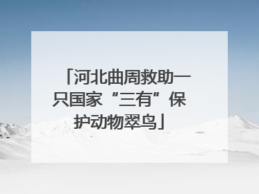河北曲周救助一只国家“三有”保护动物翠鸟