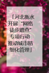 河北衡水开展“网格徒步踏查”专项行动 推动城市精细化管理