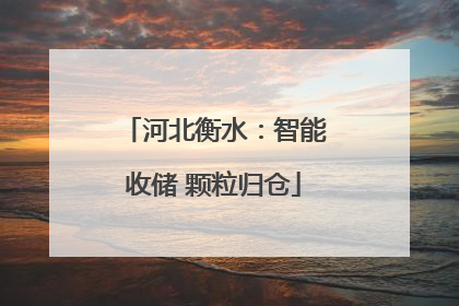 河北衡水：智能收储 颗粒归仓