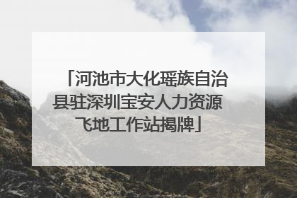 河池市大化瑶族自治县驻深圳宝安人力资源飞地工作站揭牌