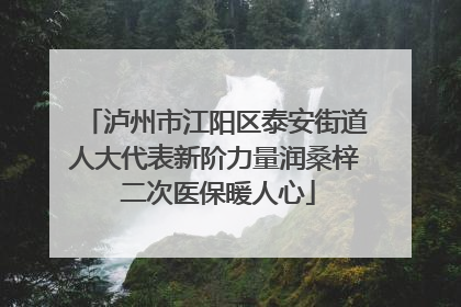 泸州市江阳区泰安街道人大代表新阶力量润桑梓 二次医保暖人心