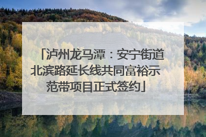 泸州龙马潭：安宁街道北滨路延长线共同富裕示范带项目正式签约