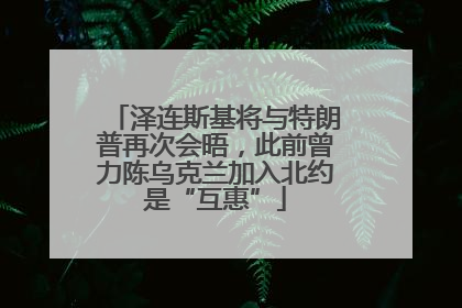 泽连斯基将与特朗普再次会晤，此前曾力陈乌克兰加入北约是“互惠”