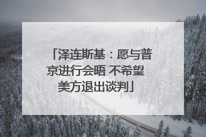泽连斯基：愿与普京进行会晤 不希望美方退出谈判