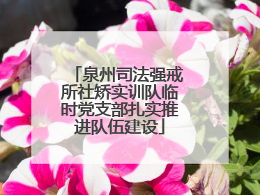 泉州司法强戒所社矫实训队临时党支部扎实推进队伍建设