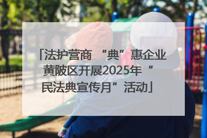 法护营商 “典”惠企业 黄陂区开展2025年“民法典宣传月”活动
