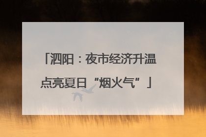 泗阳：夜市经济升温 点亮夏日“烟火气”
