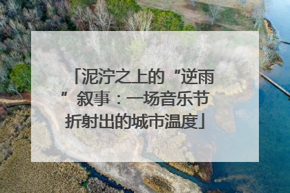 泥泞之上的“逆雨”叙事：一场音乐节折射出的城市温度