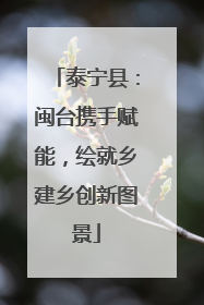 泰宁县：闽台携手赋能，绘就乡建乡创新图景