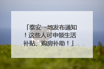 泰安一地发布通知！这些人可申领生活补贴、购房补助！