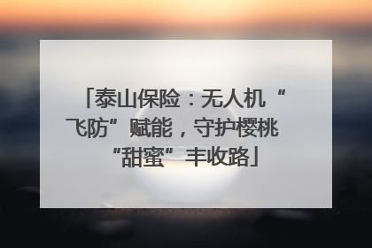 泰山保险：无人机“飞防”赋能，守护樱桃“甜蜜”丰收路
