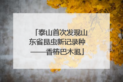 泰山首次发现山东省昆虫新记录种——香椿巴木虱