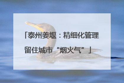 泰州姜堰：精细化管理留住城市“烟火气”