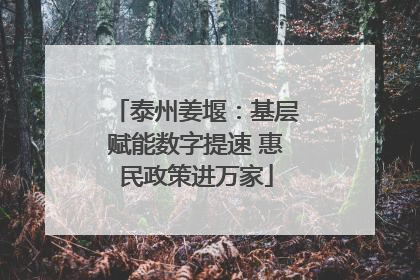 泰州姜堰：基层赋能数字提速 惠民政策进万家