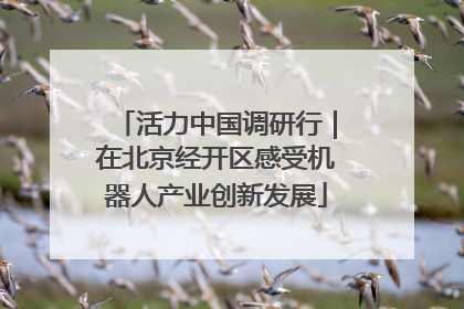 活力中国调研行｜在北京经开区感受机器人产业创新发展