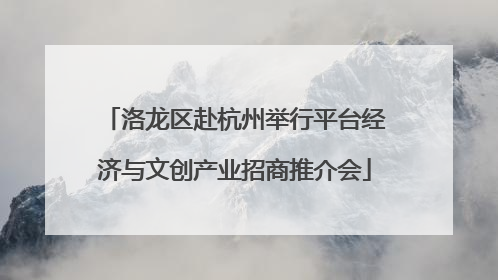 洛龙区赴杭州举行平台经济与文创产业招商推介会