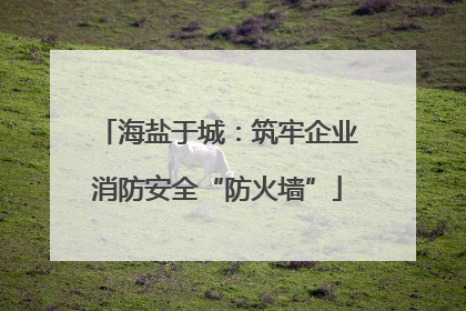 海盐于城：筑牢企业消防安全“防火墙”