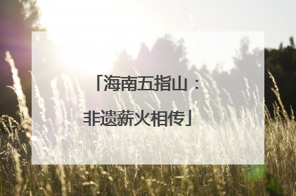 海南五指山：非遗薪火相传