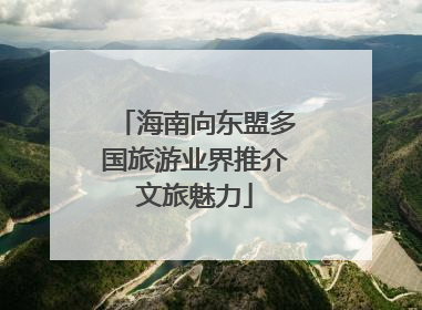 海南向东盟多国旅游业界推介文旅魅力