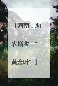 海南：助农增收 “黄金叶”