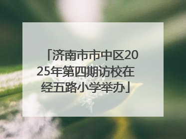 济南市市中区2025年第四期访校在经五路小学举办