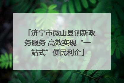 济宁市微山县创新政务服务 高效实现“一站式”便民利企