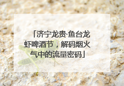 济宁龙贵·鱼台龙虾啤酒节，解码烟火气中的流量密码
