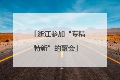 浙江参加“专精特新”的聚会