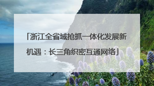 浙江全省域抢抓一体化发展新机遇：长三角织密互通网络