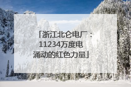 浙江北仑电厂：11234万度电涌动的红色力量