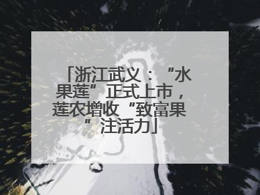 浙江武义：“水果莲”正式上市，莲农增收“致富果”注活力