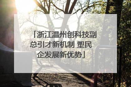 浙江温州创科技副总引才新机制 塑民企发展新优势
