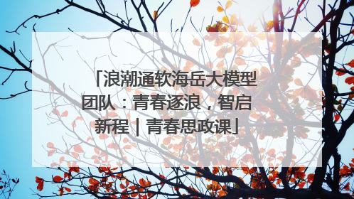 浪潮通软海岳大模型团队：青春逐浪，智启新程｜青春思政课