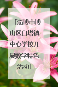 淄博市博山区白塔镇中心学校开展数学特色活动