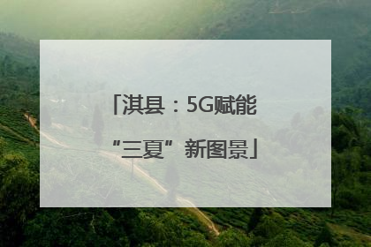 淇县：5G赋能“三夏”新图景