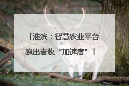 淮滨：智慧农业平台跑出麦收“加速度”