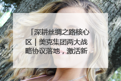 深耕丝绸之路核心区｜美克集团两大战略协议落地，激活新疆开放新动能