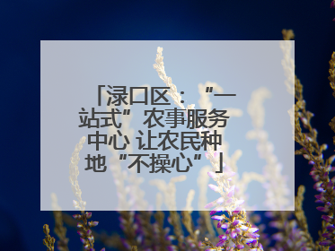 渌口区：“一站式”农事服务中心 让农民种地“不操心”