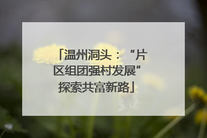 温州洞头：“片区组团强村发展”探索共富新路