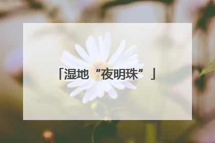 湿地“夜明珠”